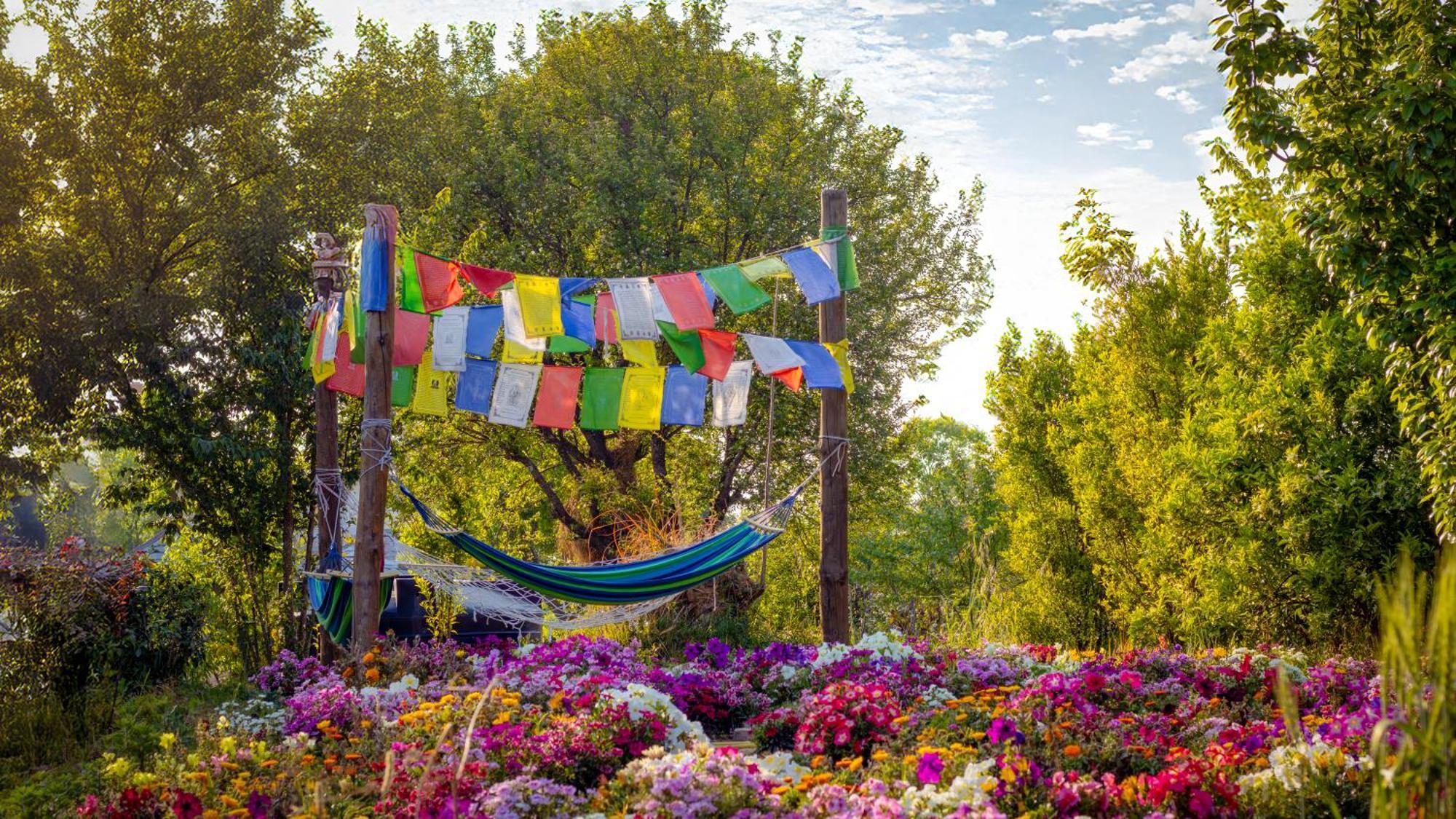 Dormigo Hostel Bīr Εξωτερικό φωτογραφία